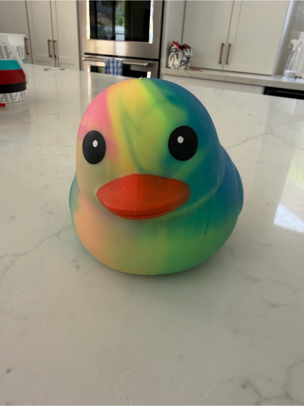 NWT Squeezy Rainbow Rubber Duck Bird Toy